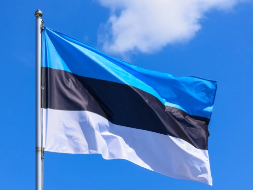 Removals to Estonia