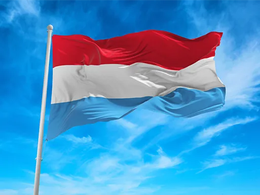 Removals to Luxembourg